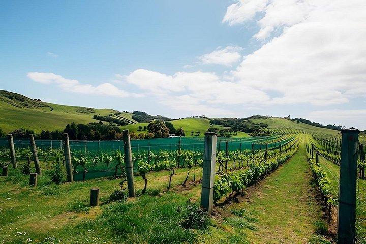 Waiheke Island Luxury Private Experience