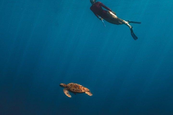 Tahiti – Bootsausflug: Schnorcheln in der Lagune und Mittagessen (max. 6)
