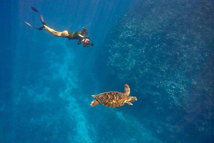 Tahiti – Bootsausflug: Schnorcheln in der Lagune und Mittagessen (max. 6)