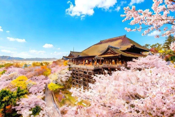 Een dagtour door de traditionele Japanse charme van Kyoto
