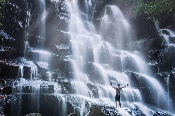 Fuld dag Privat vandfald og Ubud tur