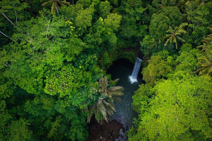 De bedste Bali-vandfald, all-inclusive privat tur