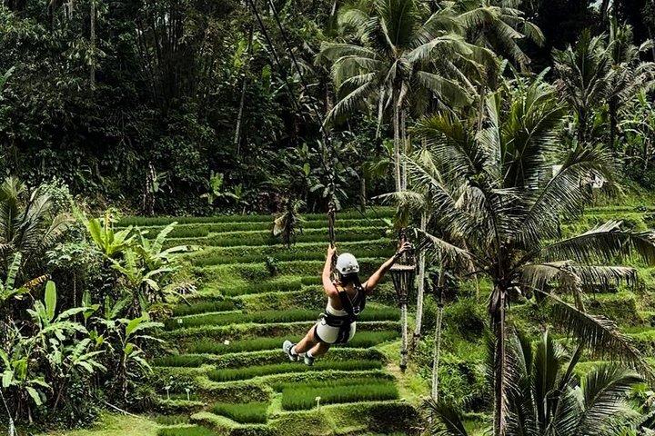 Ubud: Zipline, Sky Bike, og 4 spot sving i privat ris terrasse