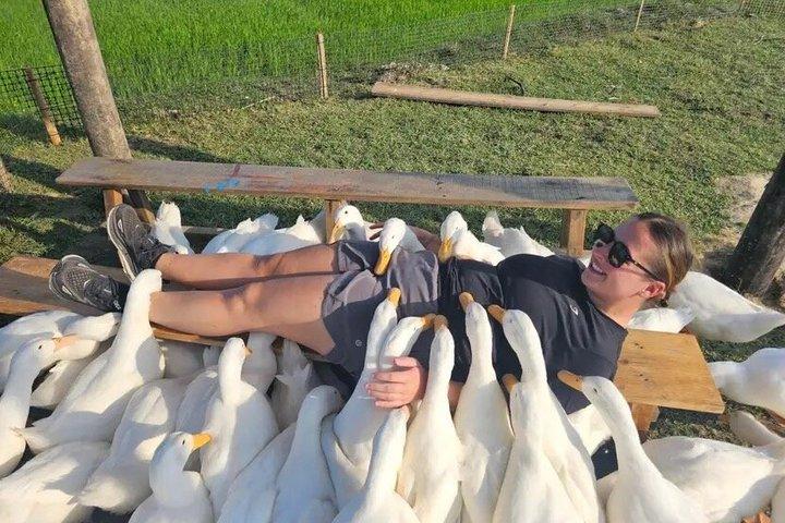 Passeio de barco por Duck Farm and Coconut Basket