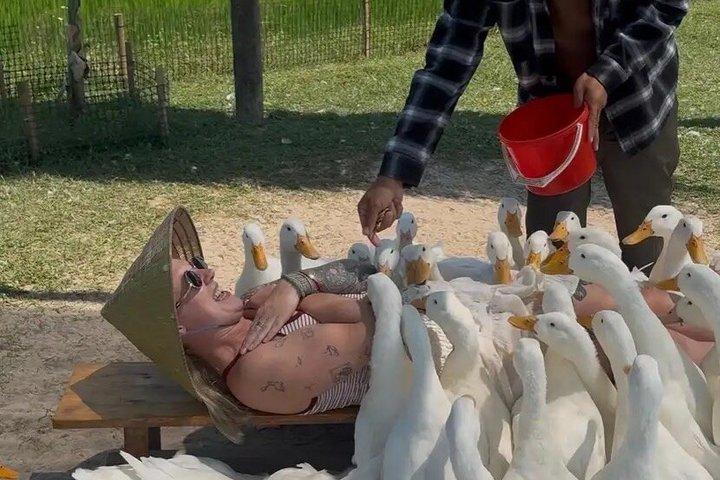 Duck Farm og Coconut Basket Bådtur