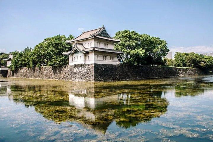 Private Tokyo Castle and Imperial Palace Shogun Walking Tour