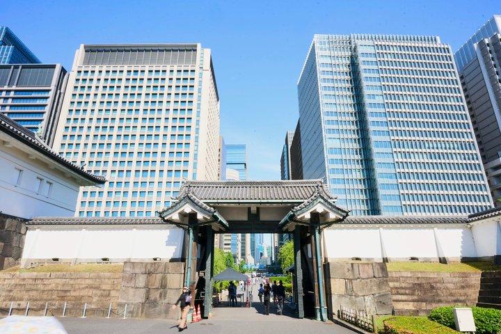 Private Tokyo Castle and Imperial Palace Shogun Walking Tour