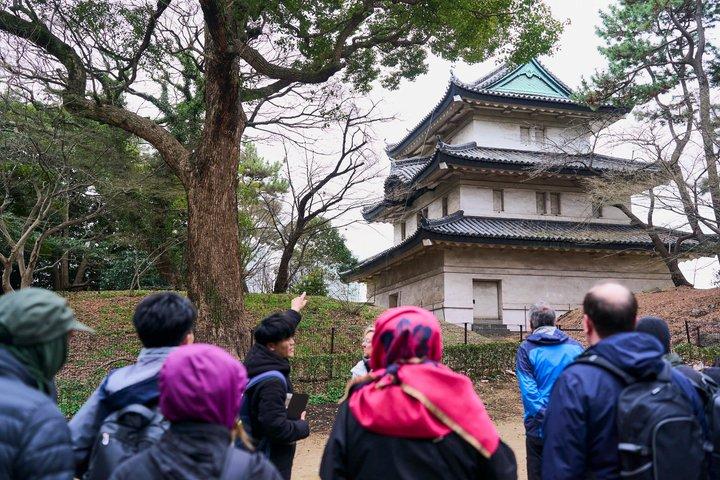 Private Tokyo Castle and Imperial Palace Shogun Walking Tour