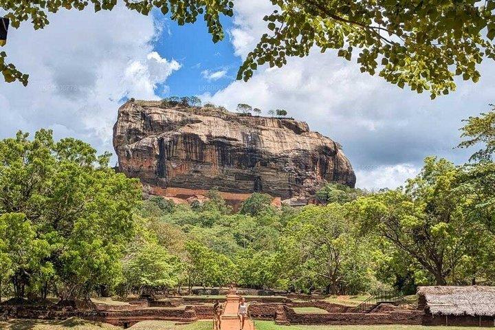 Sigiriya Rock Fort og Safari Dagstur fra Trincomalee