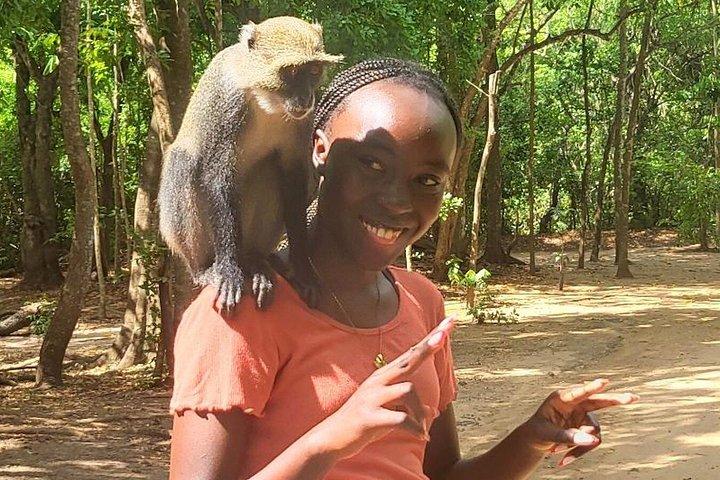 プライベートケニアサファリ6日間野生動物とワタムビーチ体験
