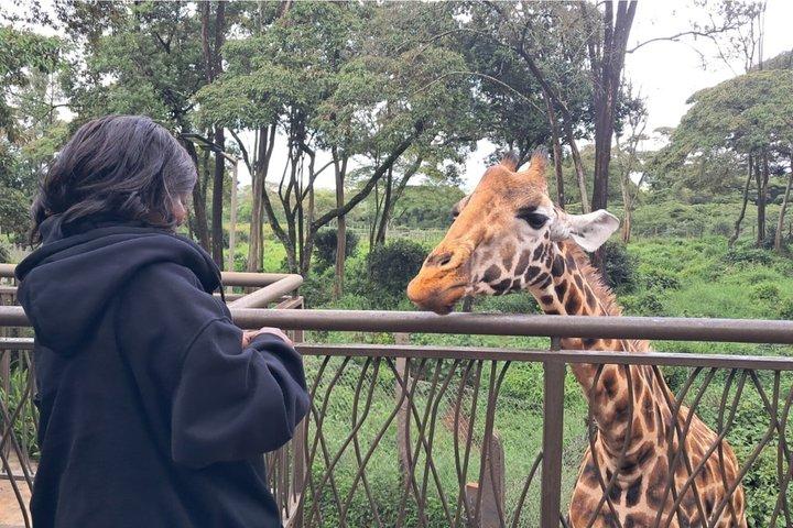 プライベートケニアサファリ6日間野生動物とワタムビーチ体験