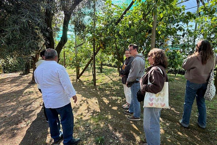 Sorrento: Cooking Class Under the Lemon Trees with view