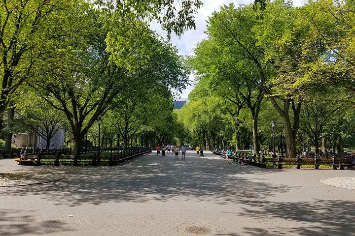 Walking Tour of Central Park With Private Local Guide