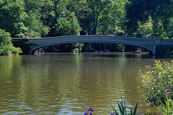 Walking Tour of Central Park With Private Local Guide