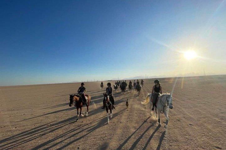 2 - Stunde Wüstenreiten mit Transfer - Marsa Alam