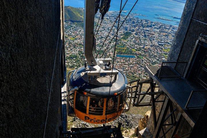 Cape Town: Guided Table Mountain Tour with Pickup and Drop-Off
