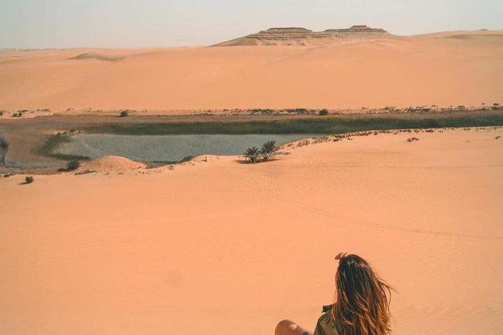 Tour al Safari del Desierto de El Fayoum incluyendo Valle de las Ballenas