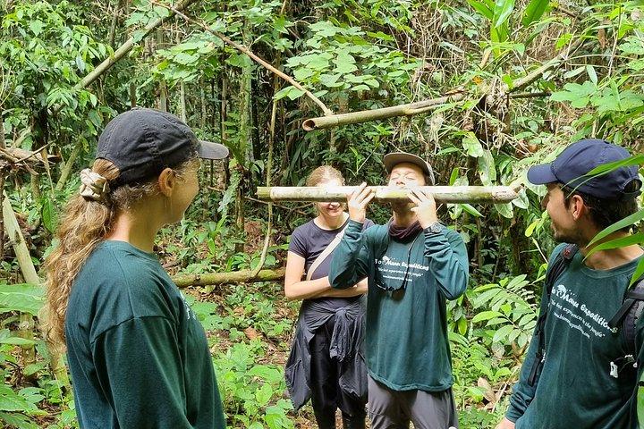 Manu Jungle Tour från Cusco (4 dagar)