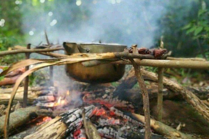 Excursión de lujo a PhnomKulen Lifestyle Camping con santuario de elefantes