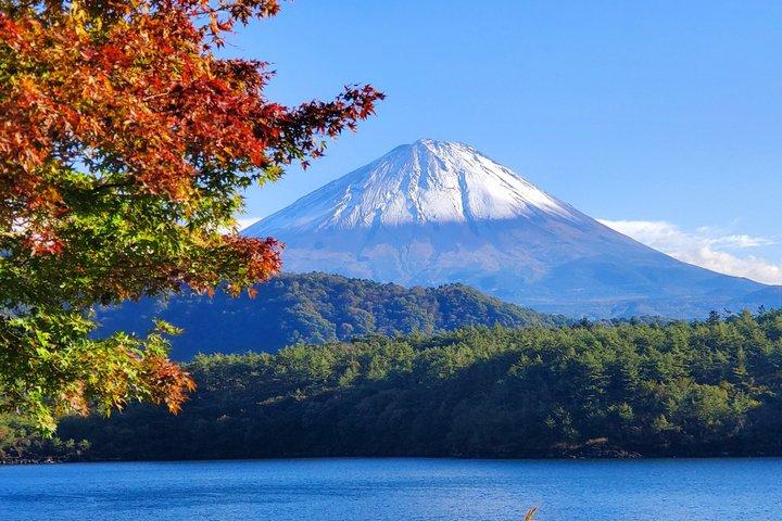 2日 - 1.東京/2.東京から富士山と箱根プライベートツアー