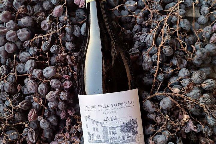 Entdecken Sie Amarone della Valpolicella in 4 verschiedenen Jahrgängen
