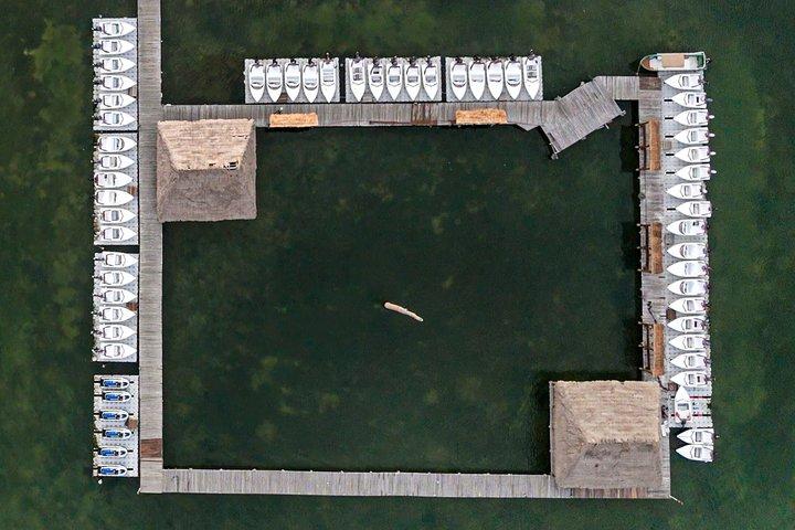 マヤジャングルツアー：1回のカンクンアドベンチャーで5つの体験