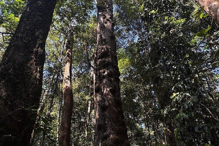Tour privato intorno all'isola di Phu Quoc