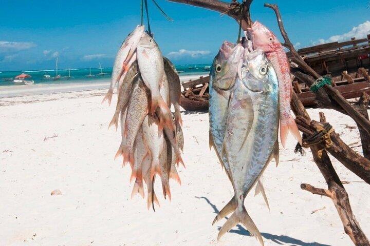 ザンジバル海釣り船ツアー（送迎付き）