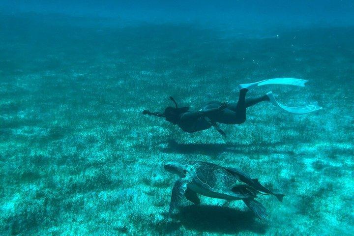 Beach Hop & Snorkel Excursion privée d'une journée en bateau à St. John