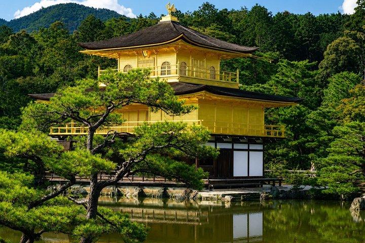 英語ドライバー付き京都マイカーチャーターフレキシブル旅程