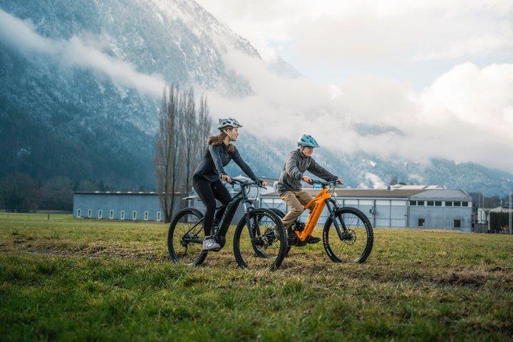 E-Bike Lake Tour Explore Interlaken e Lago Brienz