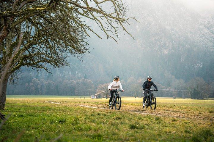 E-Bike Lake Tour Explore Interlaken e Lago Brienz