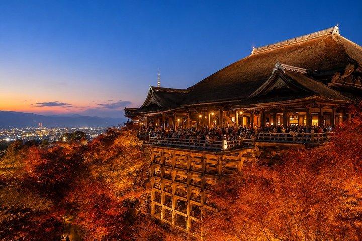 英語ドライバー付き京都マイカーチャーターフレキシブル旅程