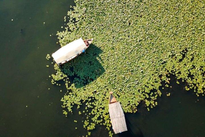 Lake Skadar Wooden Boat Tour Where History Meets the Water