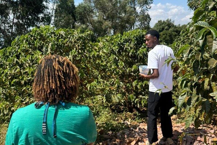 Rwanda Kigali kaffe afgrøde til Cup Tour oplevelse
