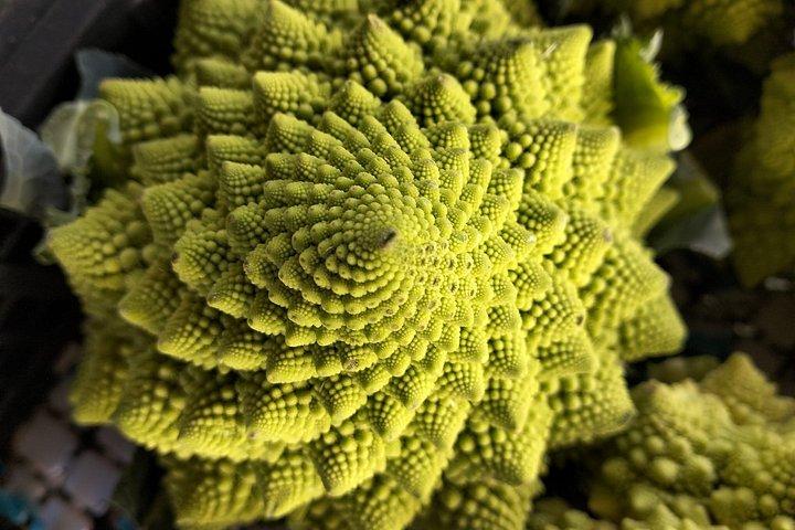 市場から食卓へ：テラコッタ・クッキング・ラボでの料理教室