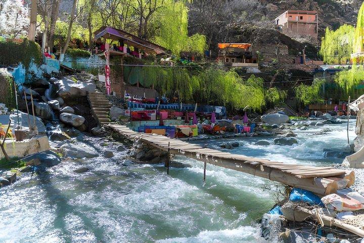 Berber Family Cooking Experience in the Atlas Mountains