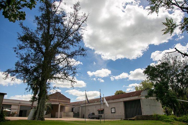 Bodega Castillo Viejo Déjeuner