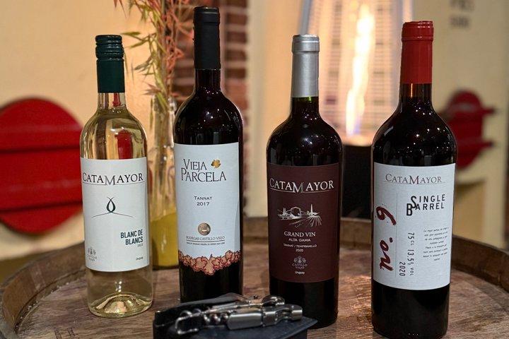 Bodega Castillo Viejo Déjeuner