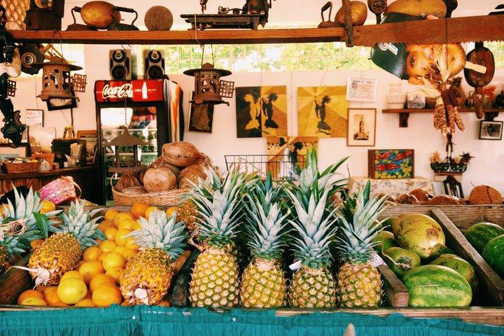 Miami privéwandeltocht met eten