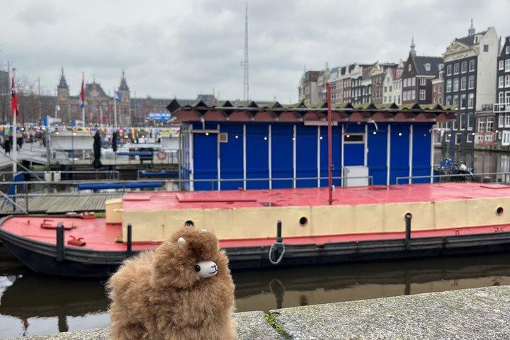Excursion d'une journée à Amsterdam et à Windmills au départ de Bruxelles