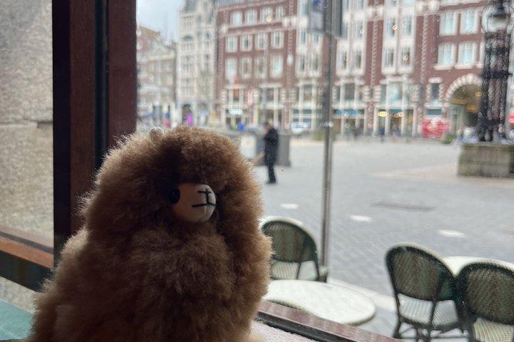 Excursion d'une journée à Amsterdam et à Windmills au départ de Bruxelles