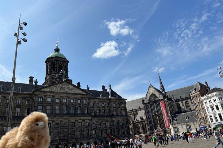 Amsterdam e Windmills Excursão de um dia de Bruxelas
