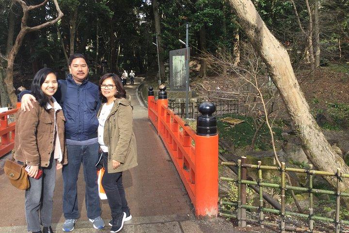 Osaka Shore Excursion: Custom Car Tour, Licensed Guide