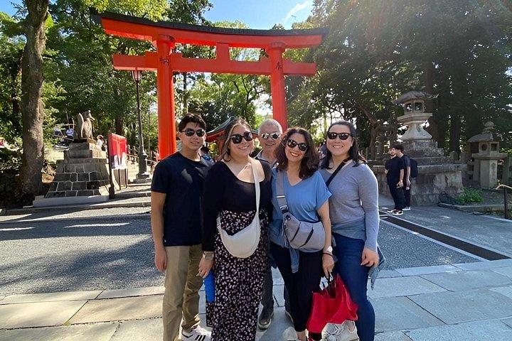Osaka Shore Excursion: Custom Car Tour, Licensed Guide