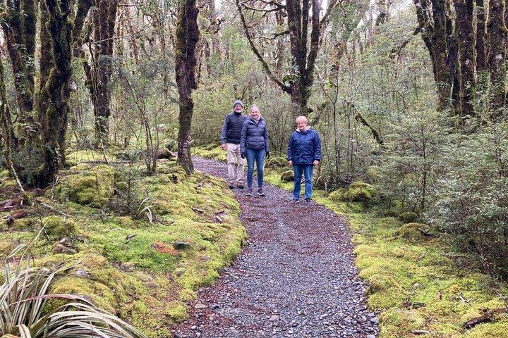 Lyttelton Shore Excursion: Arthur's Pass Day Tour