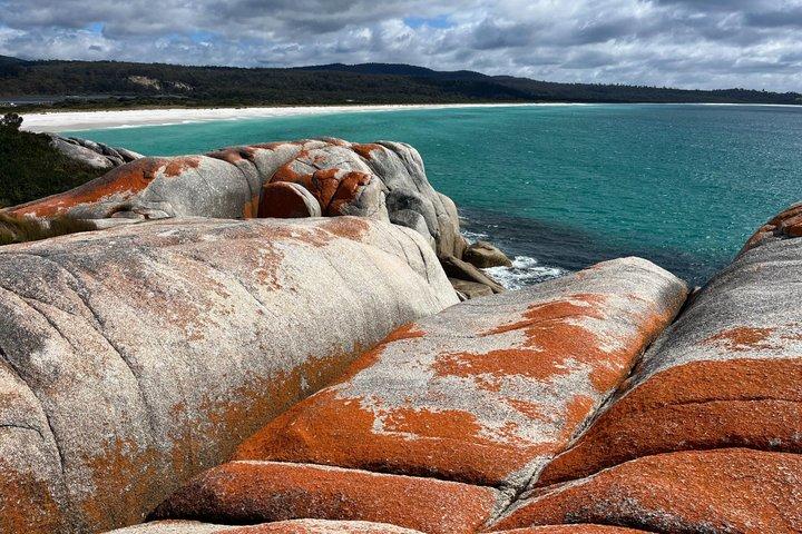 6 giorni Taste of Tasmania Escursioni e avventura nella natura