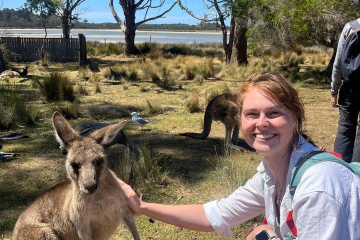 6 giorni Taste of Tasmania Escursioni e avventura nella natura