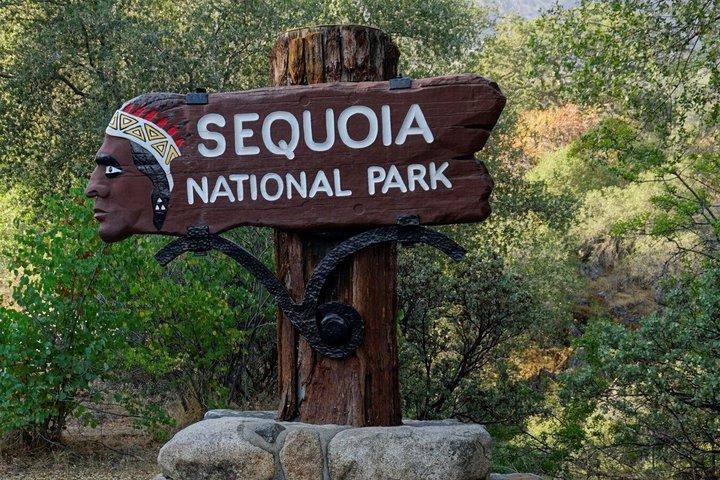 Sequoia National Park & Crystal Cave dagtour vanuit San Jose