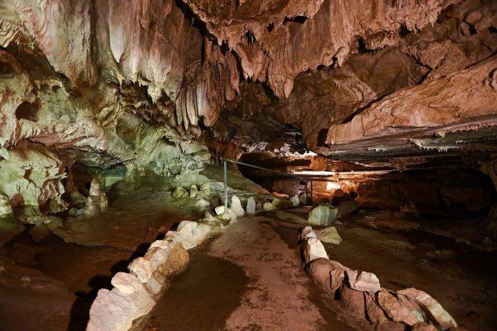 Sequoia National Park & Crystal Cave dagtour vanuit San Jose